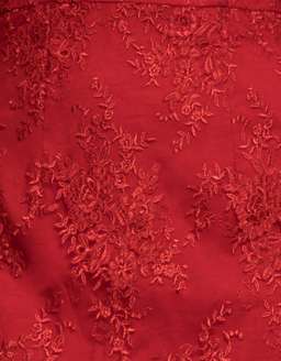 Bariano Emily Double Tier Lace Dress  Red Size 8 for rent on The Volte - image 4