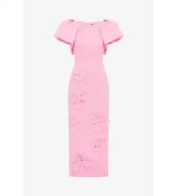Leo Lin Lucinda Floral Appliqué Maxi Dress in Baby Pink Size 12 for rent on The Volte - image 1