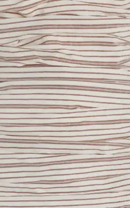 ANNA QUAN Isadora Strapless Maxi Dress Tobacco Stripe 10 for rent on The Volte - image 10