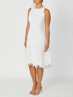 Anthea Crawford Virginia Lace Dress in Ivory Size 14  for rent on The Volte - image 2