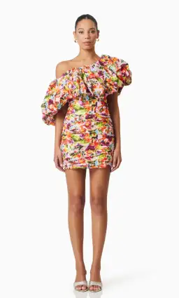 ELLIATT ELIRA PRINTED MINI DRESS IN FLORAL MULTI SIZE XL 14 for rent on The Volte - image 1