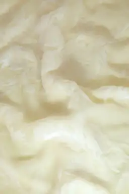 Celestina Set for rent on The Volte - image 6