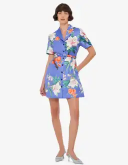 Leo Lin Brigette Mini Dress; size 12 for rent on The Volte - image 1