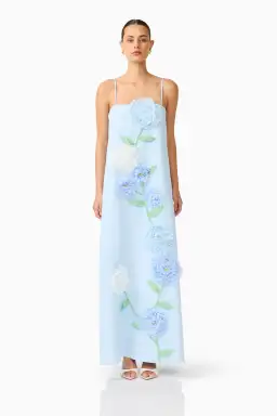 Elliatt Buttercup Embroidered Maxi Dress size 10 Blue for rent on The Volte - image 1