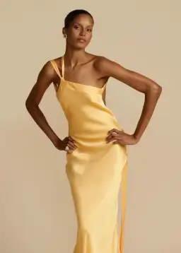 ARCINA ORI MONIQUE DRESS SUNSHINE YELLOW SIZE 8 (S) for rent on The Volte - image 3