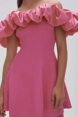 AJE Eldora Mini Dress  for rent on The Volte - image 3