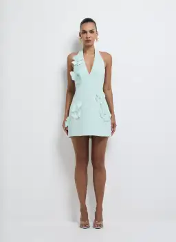 Petal Mini Dress for rent on The Volte - image 2