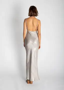 Rat & Boa Gaia Slip Dress Silver Size 6 for rent on The Volte - image 3