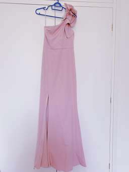Bariano Pink Blush Long Dress for rent on The Volte - image 3