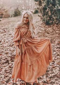 Co & Ry Goldie Maxi Dress Rust One Size for rent on The Volte - image 1