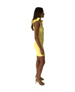 Rebecca Vallance Zinnia Mini Dress Yellow Size 8 for rent on The Volte - image 4