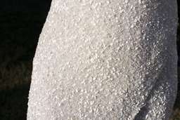 Rachel Gilbert Zali Dress White Size AU 6  for rent on The Volte - image 4