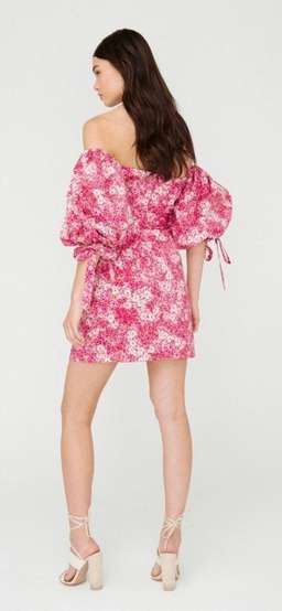 Sheike Ditsy Mini Dress Pink Floral Size 10 for rent on The Volte - image 2