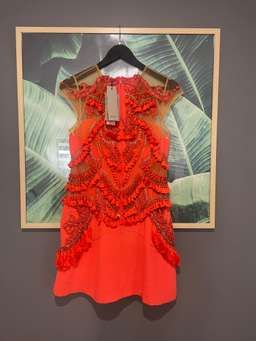 Thurley Cloud Nine Illusion Dress Red Size 10 for rent on The Volte - image 5