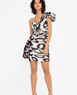 Sheike Cosmos Dress Print Size 8 for rent on The Volte - image 1