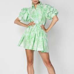 SWF Mini Collar Dress Green Size 8 (also fits Size 10) for rent on The Volte - image 1
