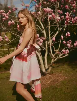 Aje Kasbah Sunset Stripe Ruched Bow Back Mini Dress Print Size 6 for rent on The Volte - image 6