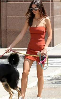 Bec and Bridge Maya Mini Dress Terracotta Size 10