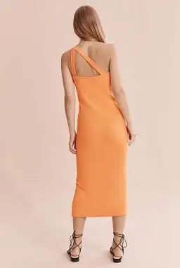 Country road asymmetric tank dress  for rent on The Volte - image 4