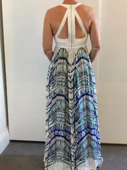 Sass & Bide The Sun Stretch Maxi Dress Print