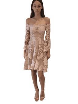 Thurley Nude Babylon Lace Dress size 10