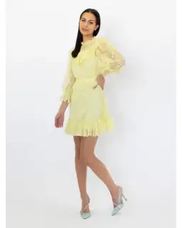 Alice McCall Love My Way Mini Dress Lemon Yellow Size 6 for rent on The Volte - image 3