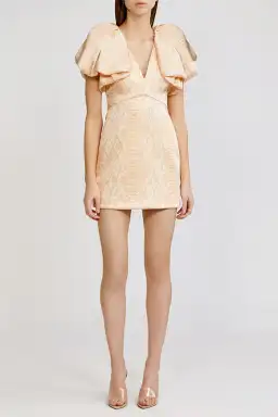 Acler Raven Dress Cobra Print Size 6