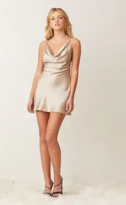 Bec & Bridge Pearl Bay Mini Dress Champagne Size 10
