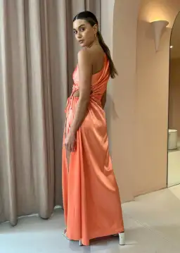 Sonya Moda Nour Peach Maxi Dress Peach Size 12 for rent on The Volte - image 4