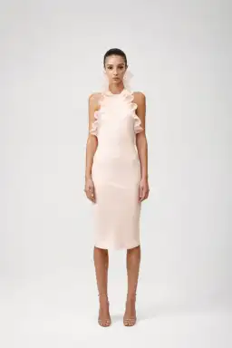 Lexi Chantal Dress Pink Size 8