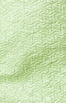 Bec & Bridge Apple Top and Mini Skirt Set Green Size 10 for rent on The Volte - image 5