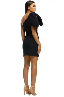 Rebecca Vallance Hamptons Bow Mini Dress Navy Size 10 for rent on The Volte - image 5