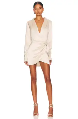 Retrofete Hailey Dress in Champagne Size 8