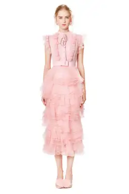 Ivan Young Silk Ruffles Tiered Midi Dress Pink Size 8 for rent on The Volte - image 1
