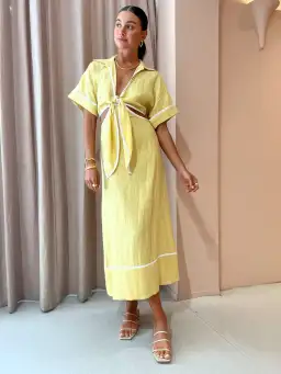 Roame Parque Dress in Butter Size 6