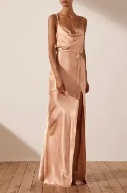 Shona Joy La Lune Bias Cowl Maxi Dress in Desert Rose for rent on The Volte - image 1