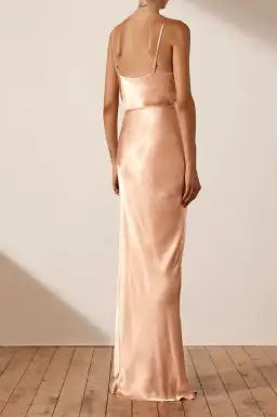 Shona Joy La Lune Bias Cowl Maxi Dress in Desert Rose for rent on The Volte - image 2