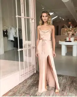 Shona Joy La Lune Bias Cowl Maxi Dress in Desert Rose for rent on The Volte - image 6