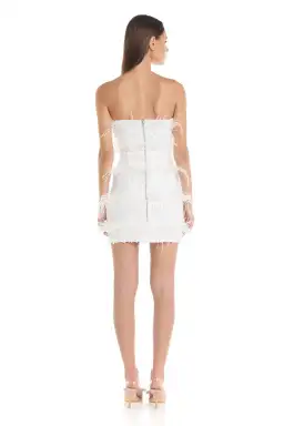 Eliya the Label Tiffany Mini Dress White Size 6 / XS for rent on The Volte - image 1