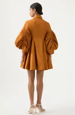 Aje Utopia Drawstring Mini Dress Chestnut Brown Size 8 / S for rent on The Volte - image 3