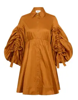 Aje Utopia Drawstring Mini Dress Chestnut Brown Size 8 / S for rent on The Volte - image 4