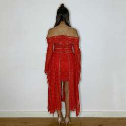 Thurley Folklane Dress Red 6 for rent on The Volte - image 4