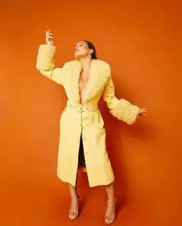 Saks Potts Foxy Shearling Coat in Shortbread yellow

Size 3 / Au 10