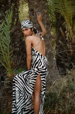 Rat & Boa Zinnia Dress Zebra Print Size M/ 10 for rent on The Volte - image 2