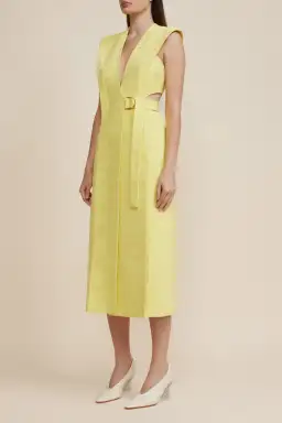 Acler Shefford Dress Yellow Size 8 for rent on The Volte - image 1