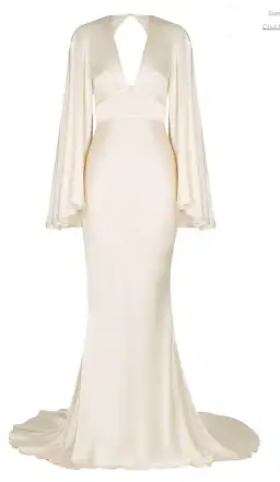 Shona Joy La Lune Backless Maxi Ivory Size AU 10 for rent on The Volte - image 5