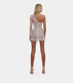 Albina Dyla Short Silver One Sleeved Dress Sequin Size 8 for rent on The Volte - image 4