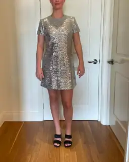 Cue Sequin Shift Mini Dress Silver Size 10 for rent on The Volte - image 4