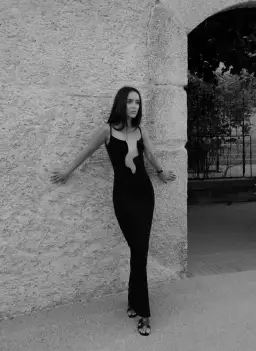 Christopher Esber Salacia Wire Column Dress Size 4 for rent on The Volte - image 6