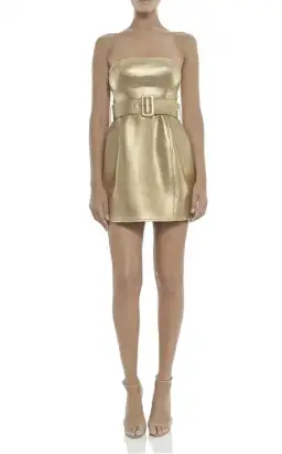 MISHA Jessie Belted Mini Dress Gold Size 6 for rent on The Volte - image 1